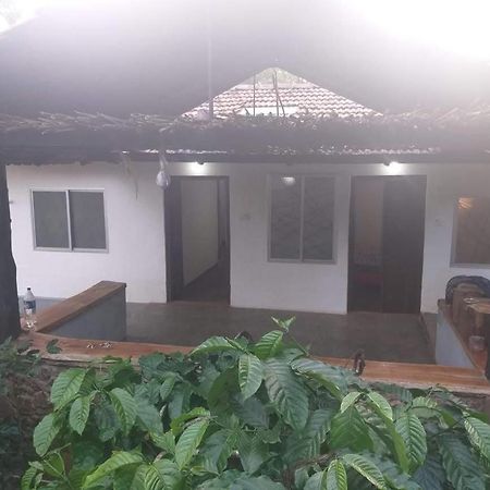 Durf Green Madikeri Dış mekan fotoğraf