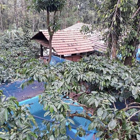 Durf Green Madikeri Dış mekan fotoğraf