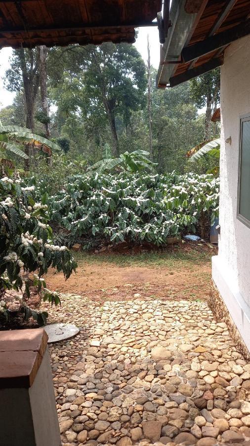 Durf Green Madikeri Dış mekan fotoğraf